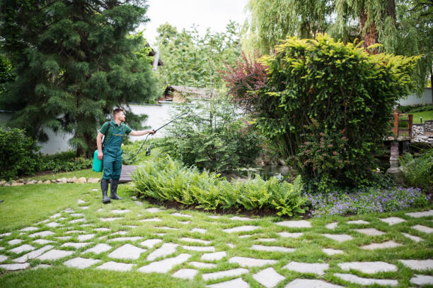 Best Best Pest Control Companies  in Santo Domingo Pueblo, NM