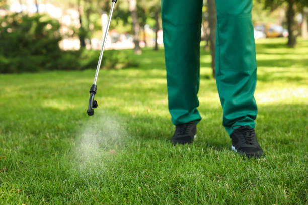 Best Pest Inspection Near Me  in Santo Domingo Pueblo, NM