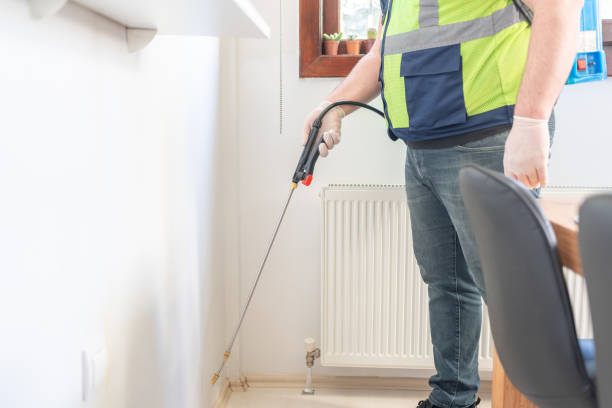Best Wasp Removal Services  in Santo Domingo Pueblo, NM