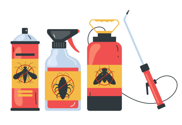 Best Affordable Pest Control Services  in Santo Domingo Pueblo, NM